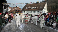 2026-02 Narrentreffen Hofstetten (18)